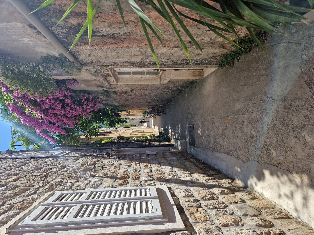 Dubrovnik Wine Tours景点图片