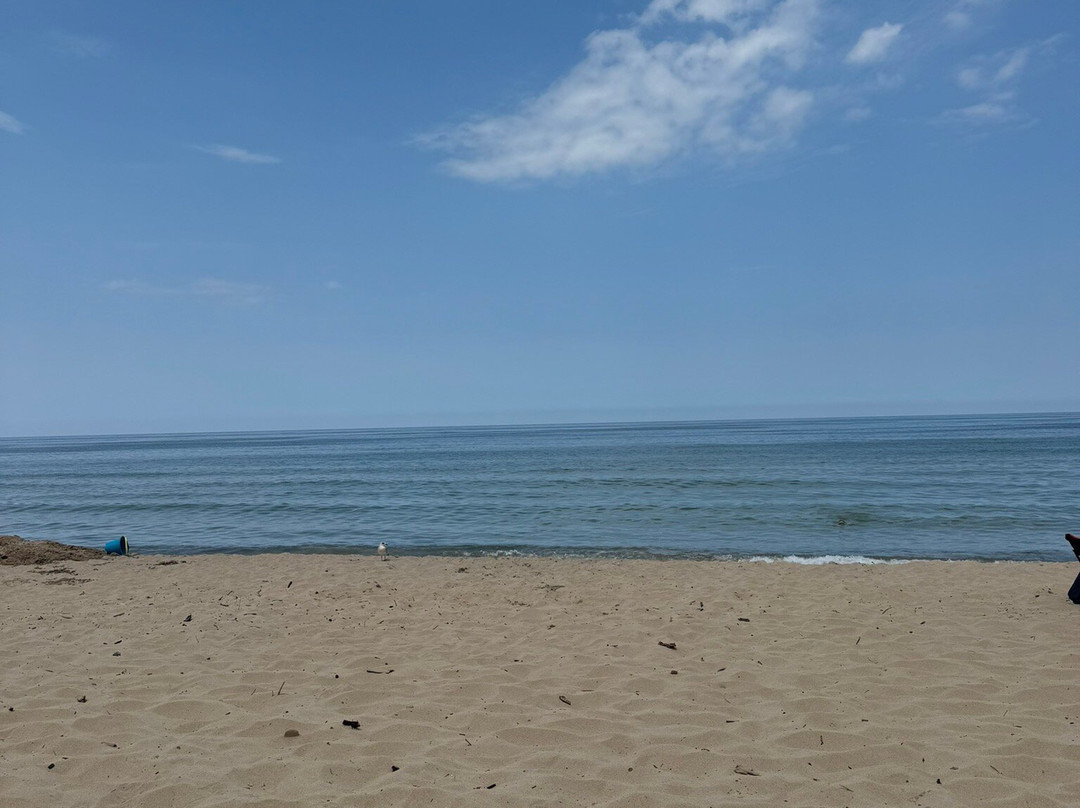 Rocky Gap County Park-Benton Harbor必去景点