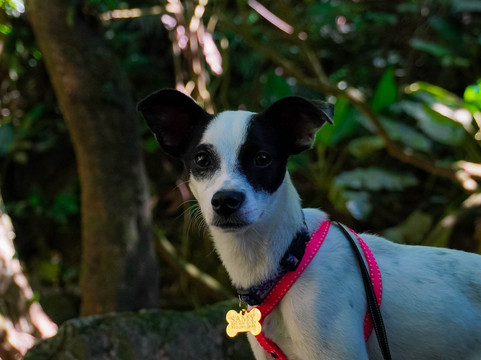 Los Colores de Colombia-波哥大必去景点