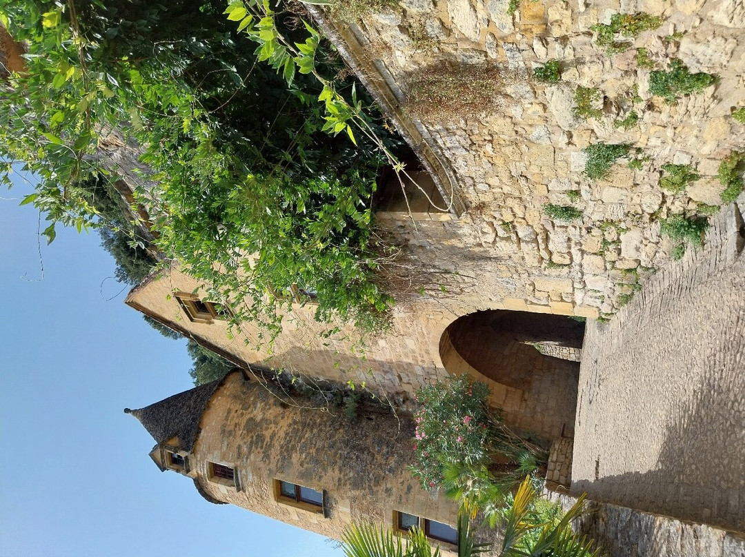 Le Fort de La Roque-Gageac景点图片