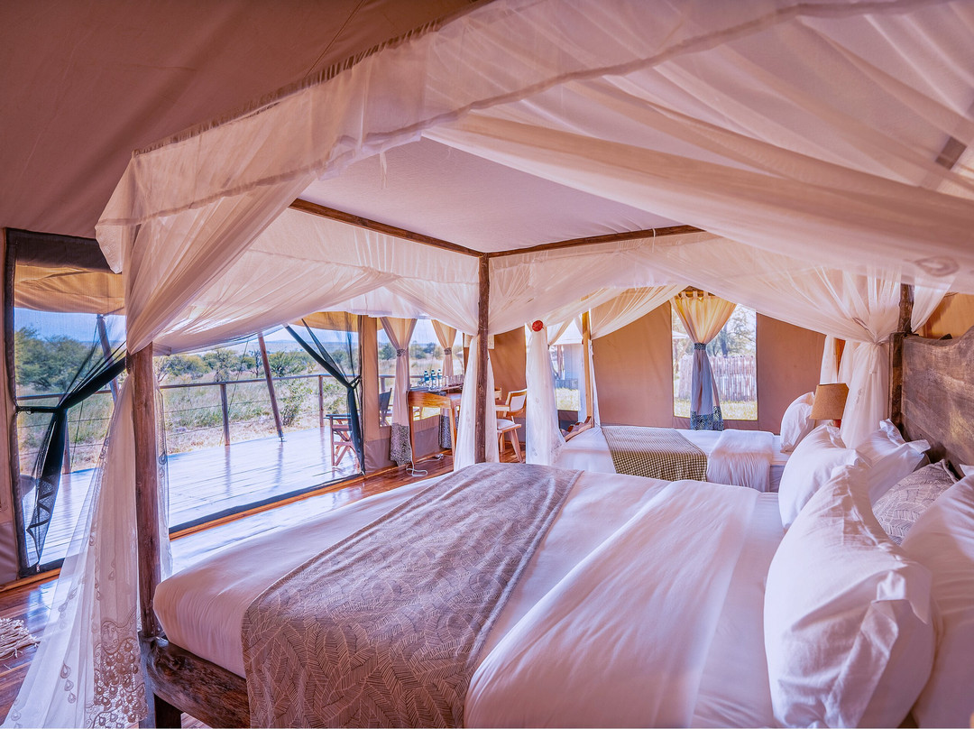 Malaika Seronera Luxury Camp主图