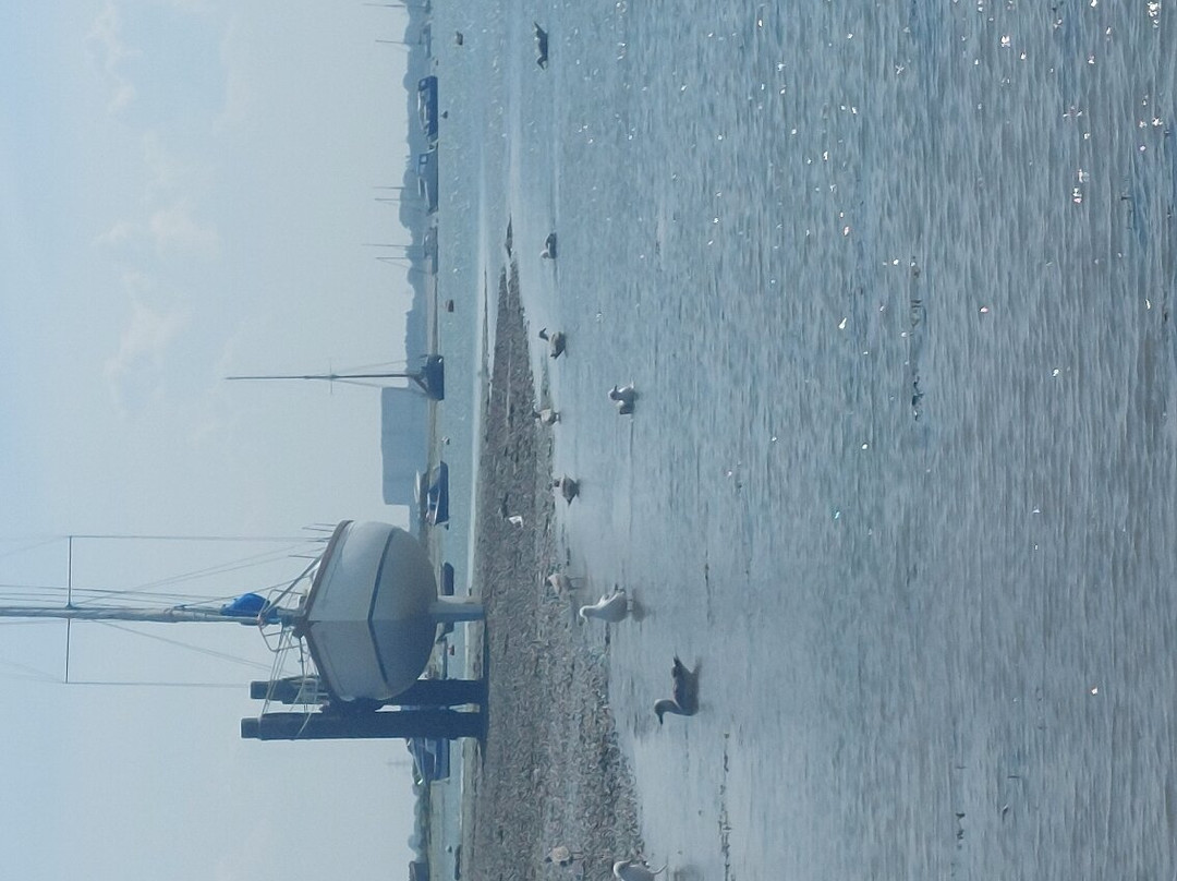 West Mersea Beach景点图片