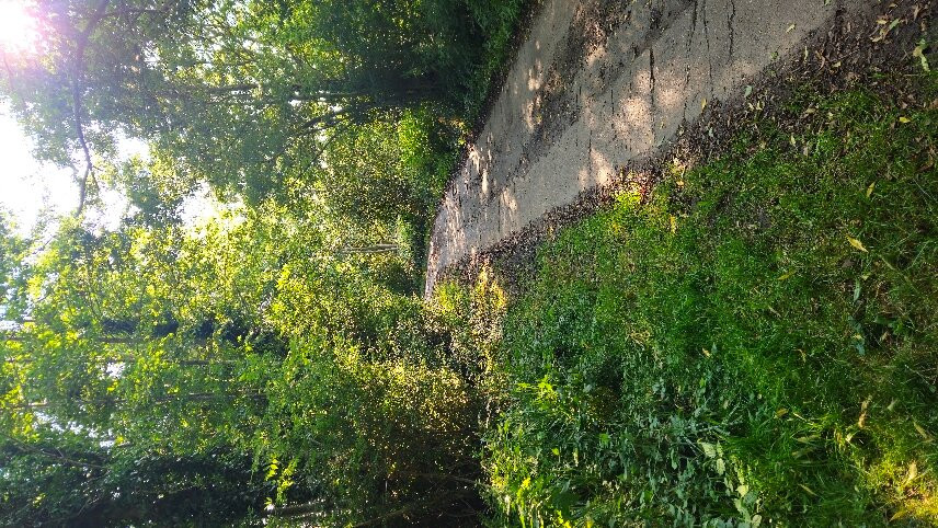 Landhotel Langholz主图