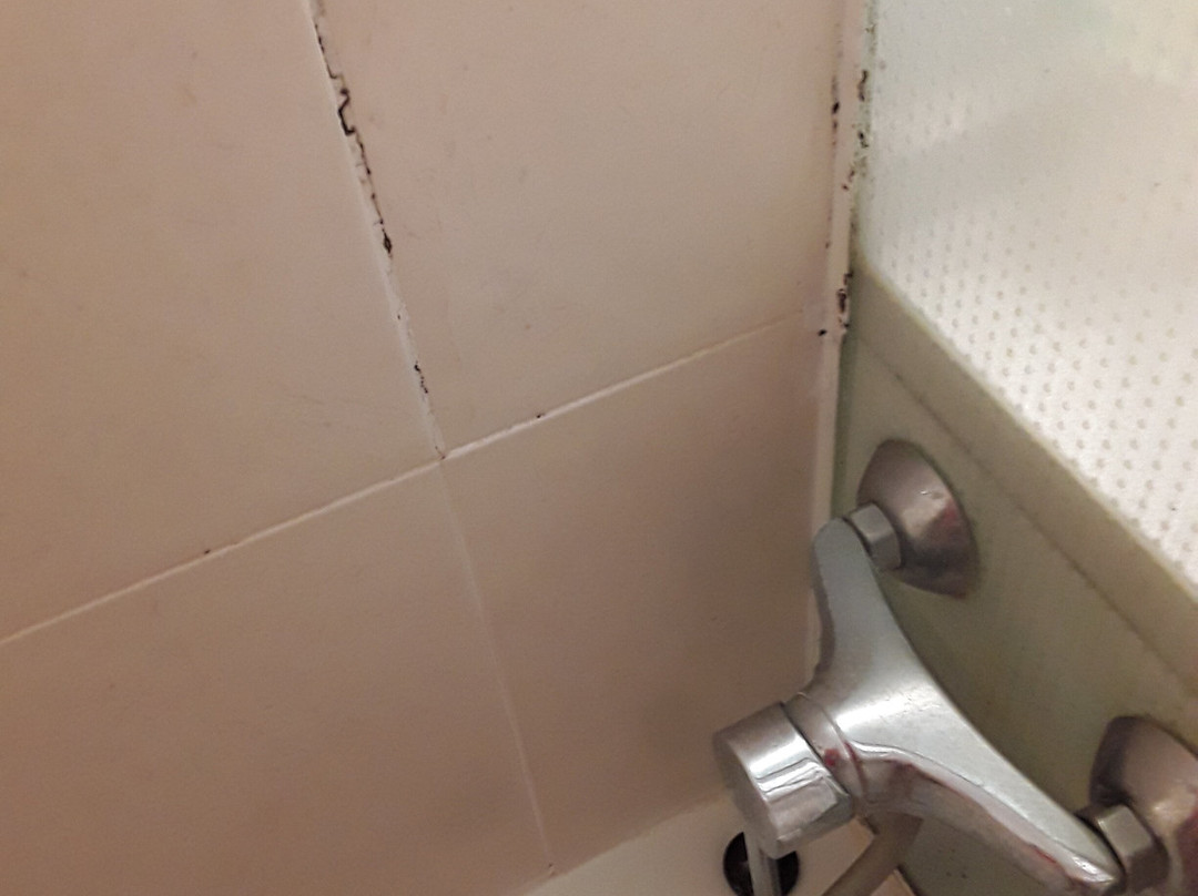 B&B HOTEL Perpignan Sud Porte d'Espagne主图