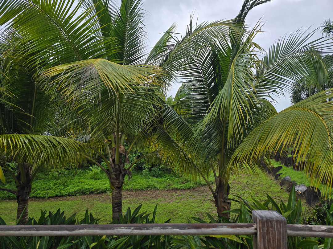 Ocean Properties Aparthotel & Villas主图