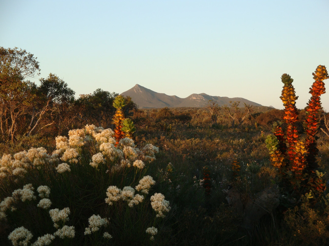 Quaalup Homestead Wilderness Retreat