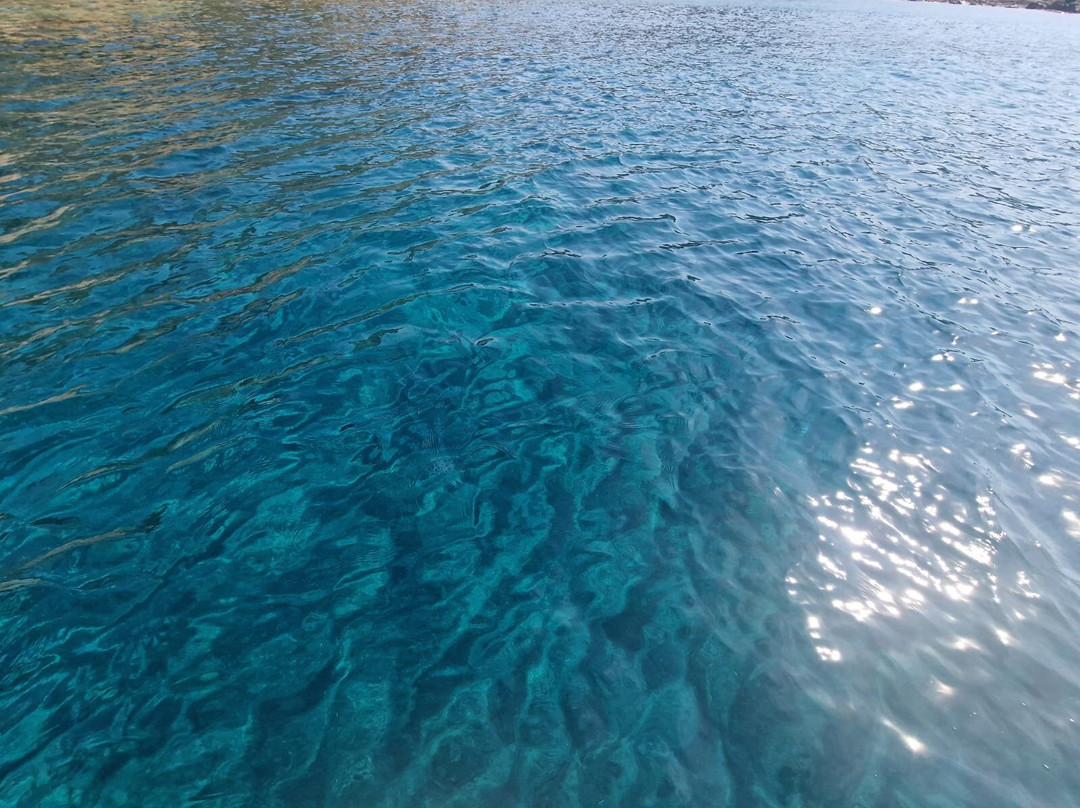 Il Dollaro II-Porto Azzurro必去景点