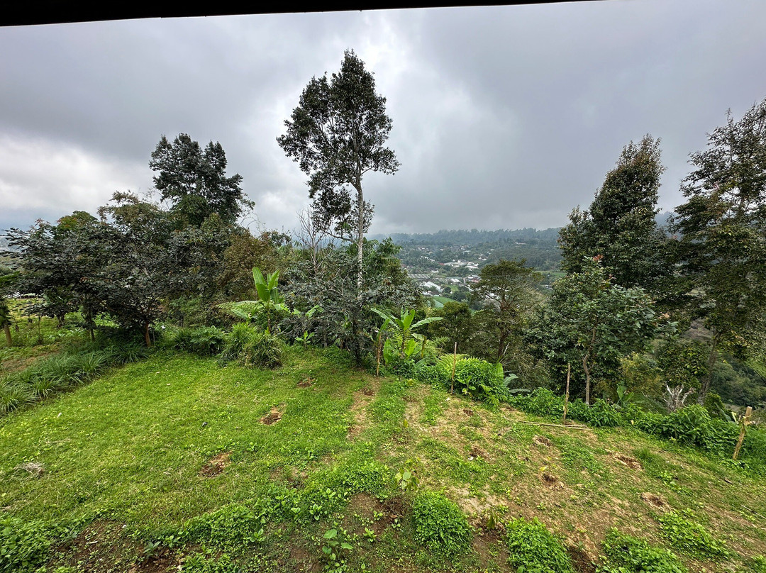 Warung Bali Fountain