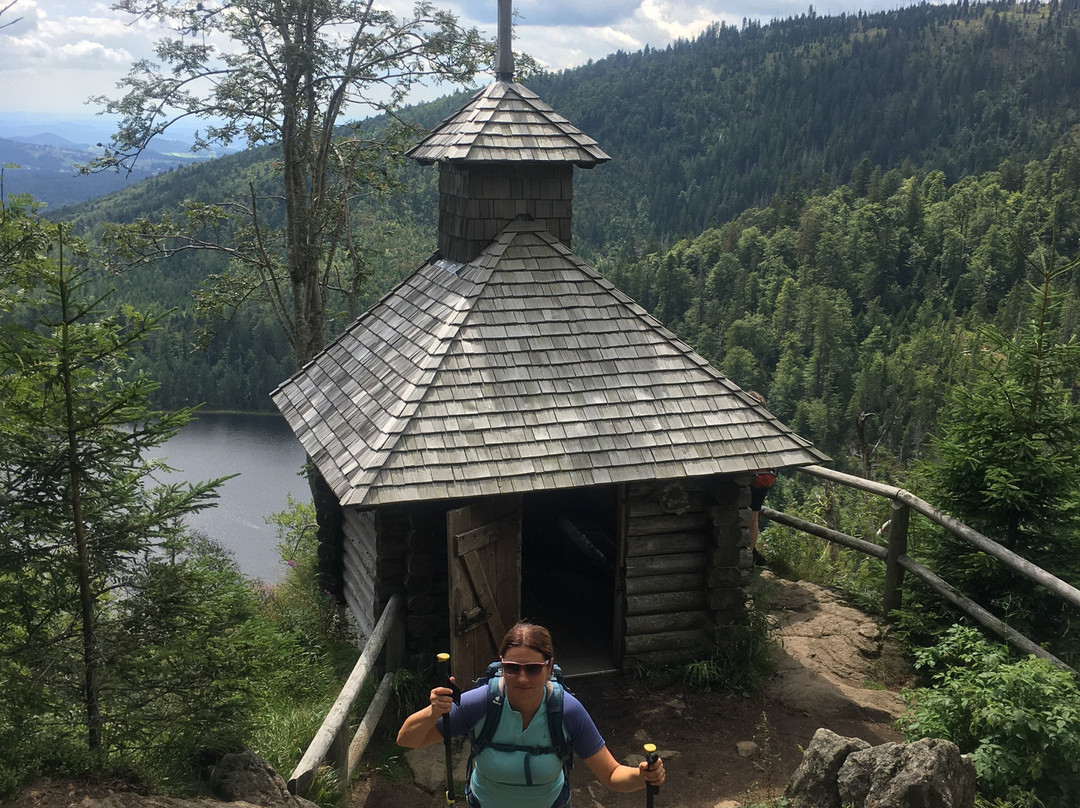Nationalpark Bayerischer Wald景点图片