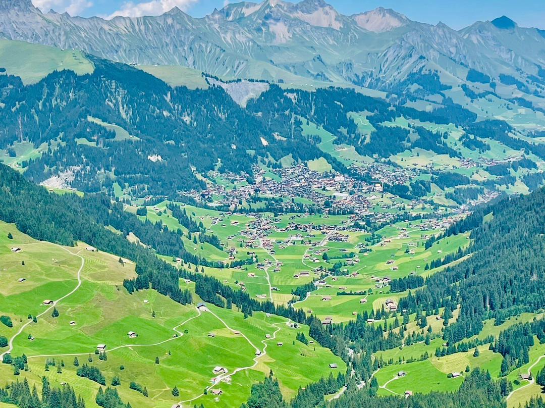 Bergbahnen Engstligenalp AG-阿德尔博登必去景点