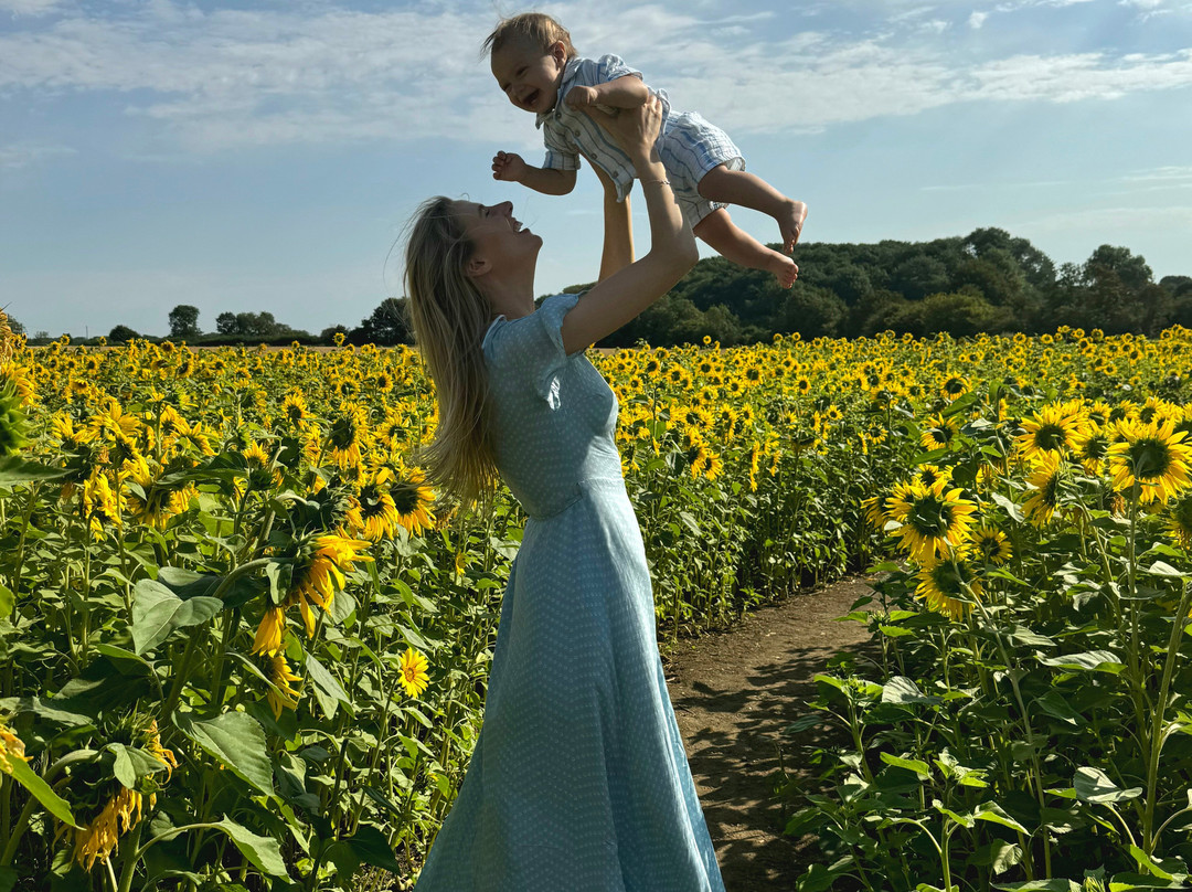 Writtle Sunflowers景点图片