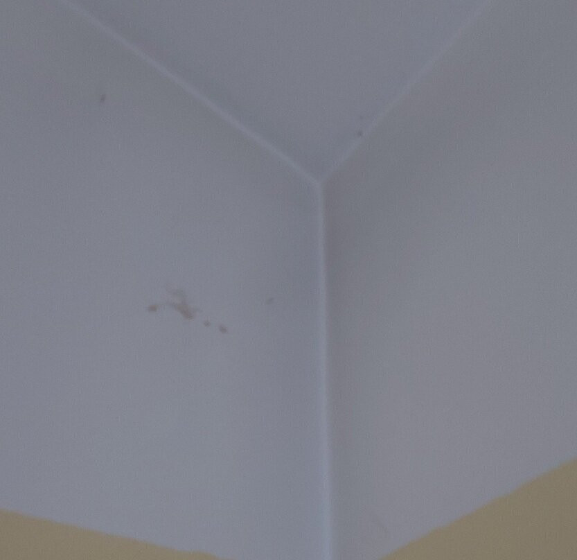 Hotel - A4 Airport Krakow主图