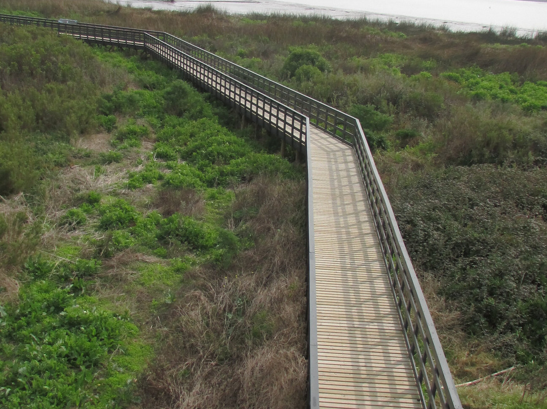 Humedal Rio Maipo-圣安东尼奥必去景点