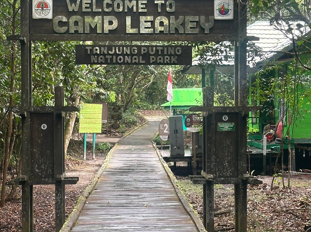 Tanjung Puting National Park-Pangkalan Bun必去景点
