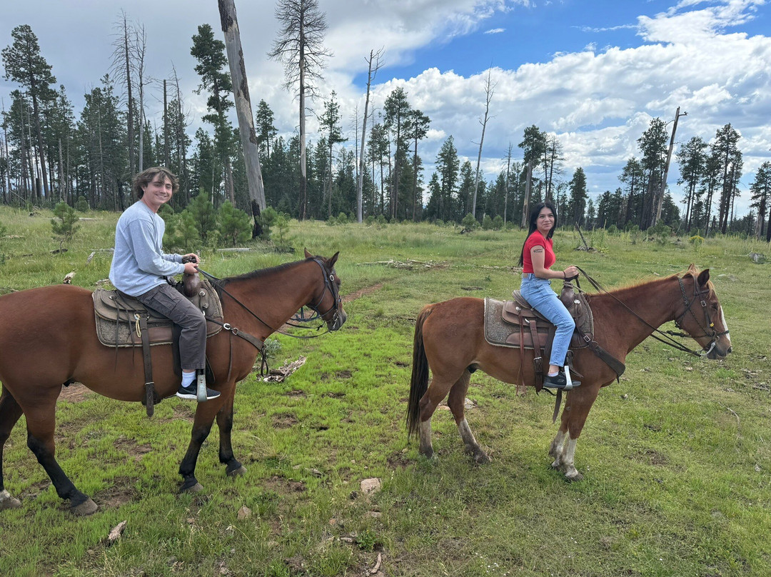 Greer By Horseback-Greer必去景点