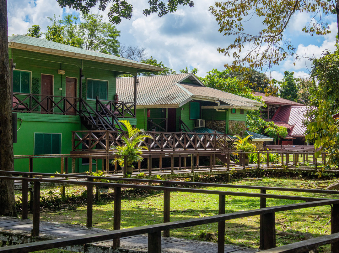 苏高绿观民宿主图