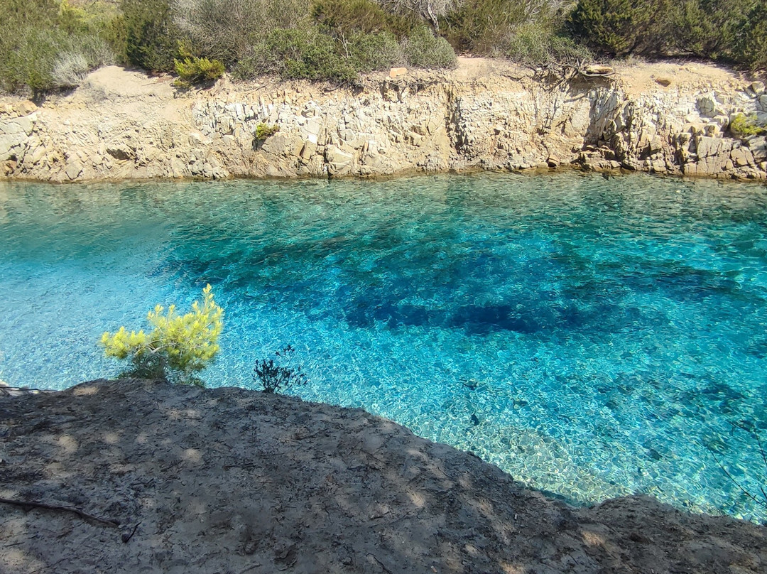 Spiaggia Cala Ginepro e Sa Curcurica-奥罗塞必去景点