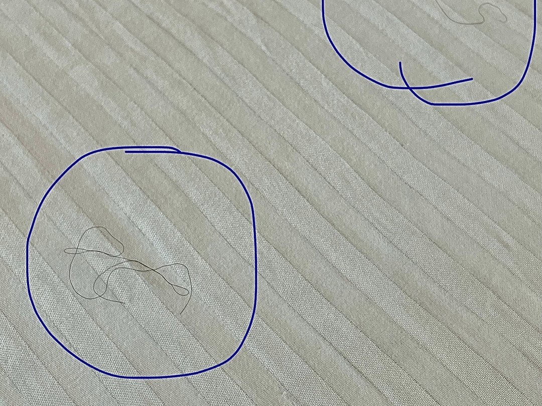 La Quinta Inn & Suites by Wyndham Orlando UCF主图