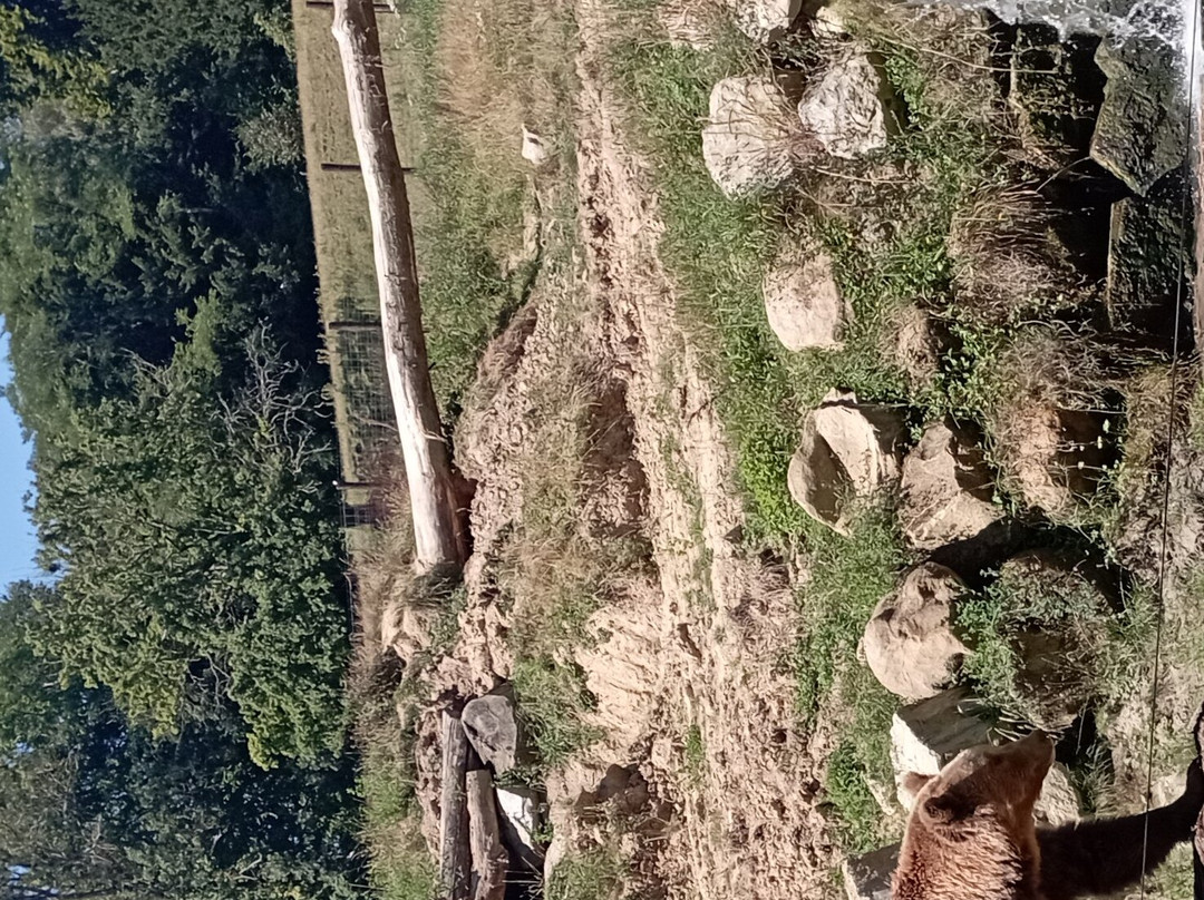 Zoo Cerza景点图片