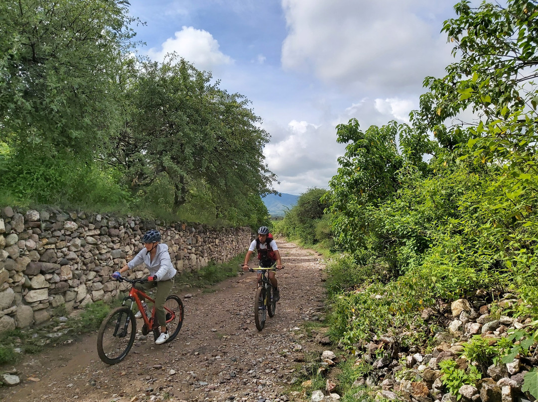 Bicicletas Pedro Martinez-瓦哈卡必去景点