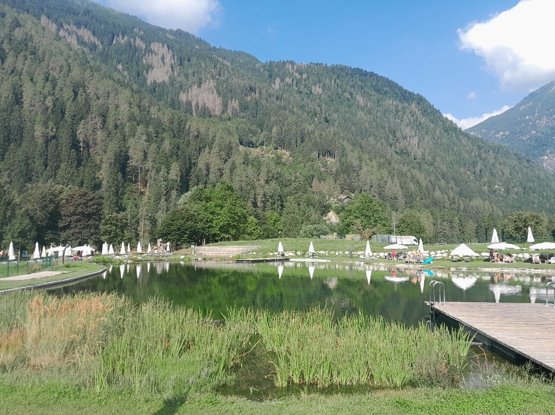 Parco Pineta景点图片