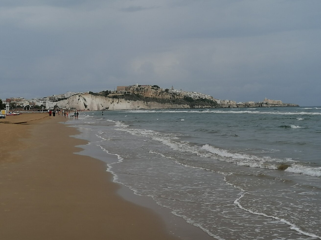 Oasiclub Hotel主图