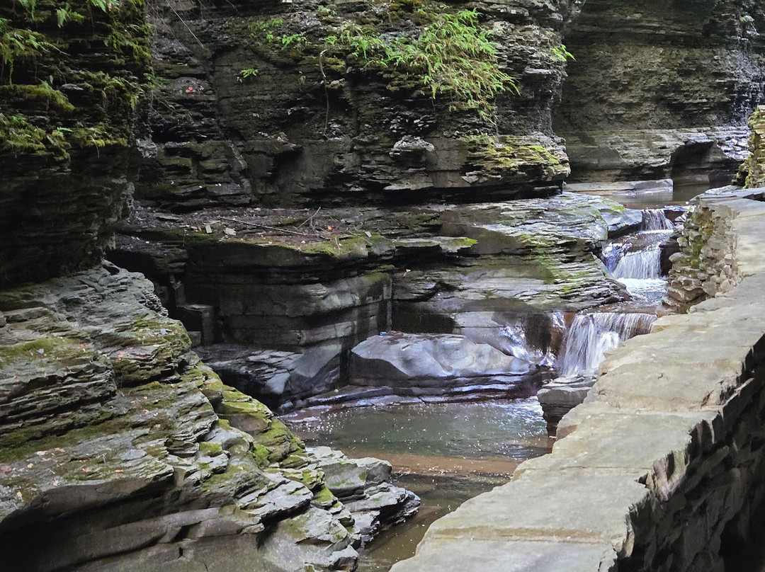 Hector Falls-Hector必去景点