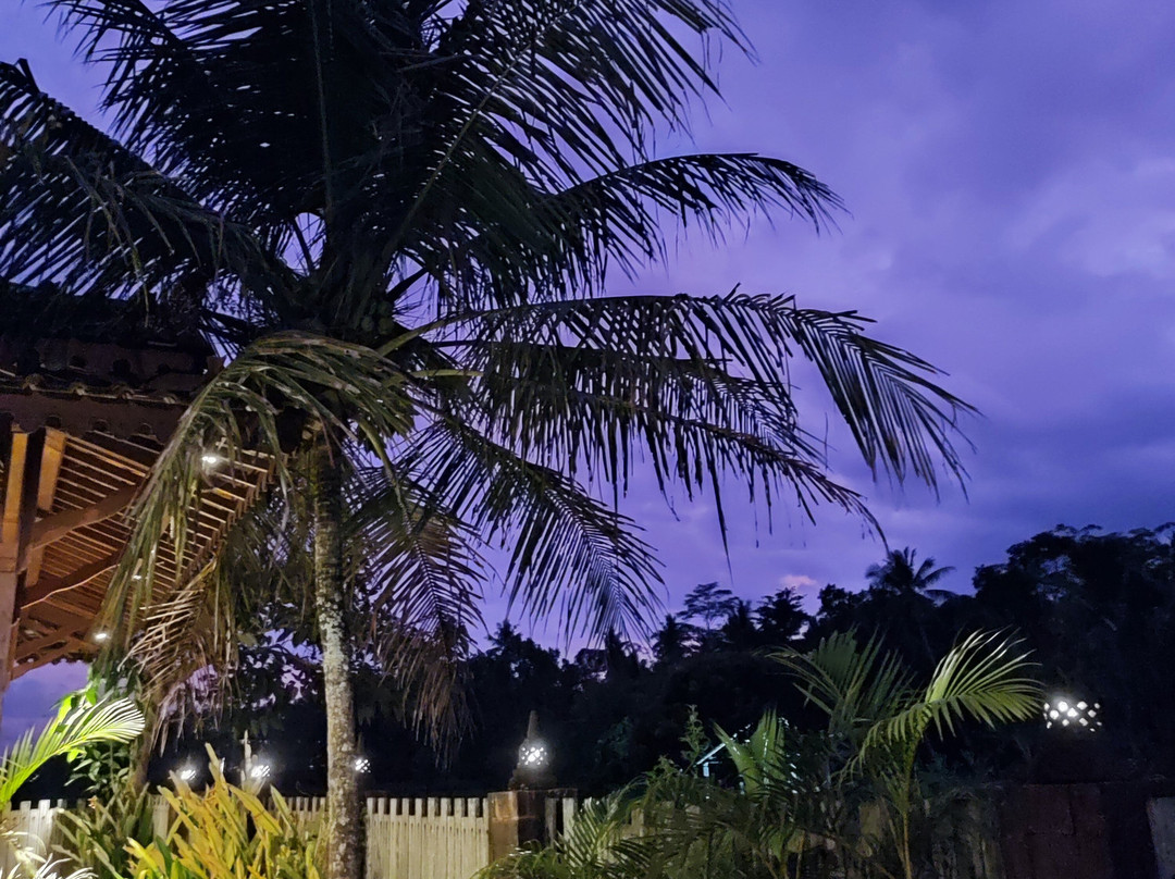 The Amrta Borobudur主图