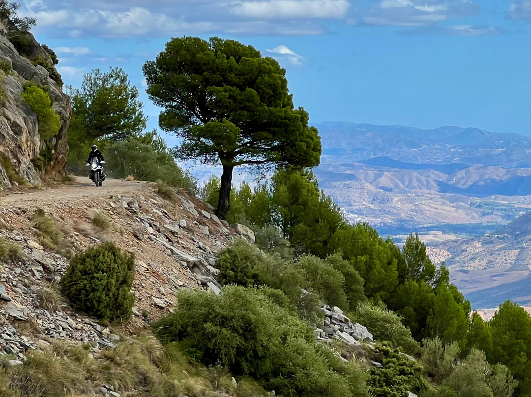 ToroAdventure-Alhaurin el Grande必去景点