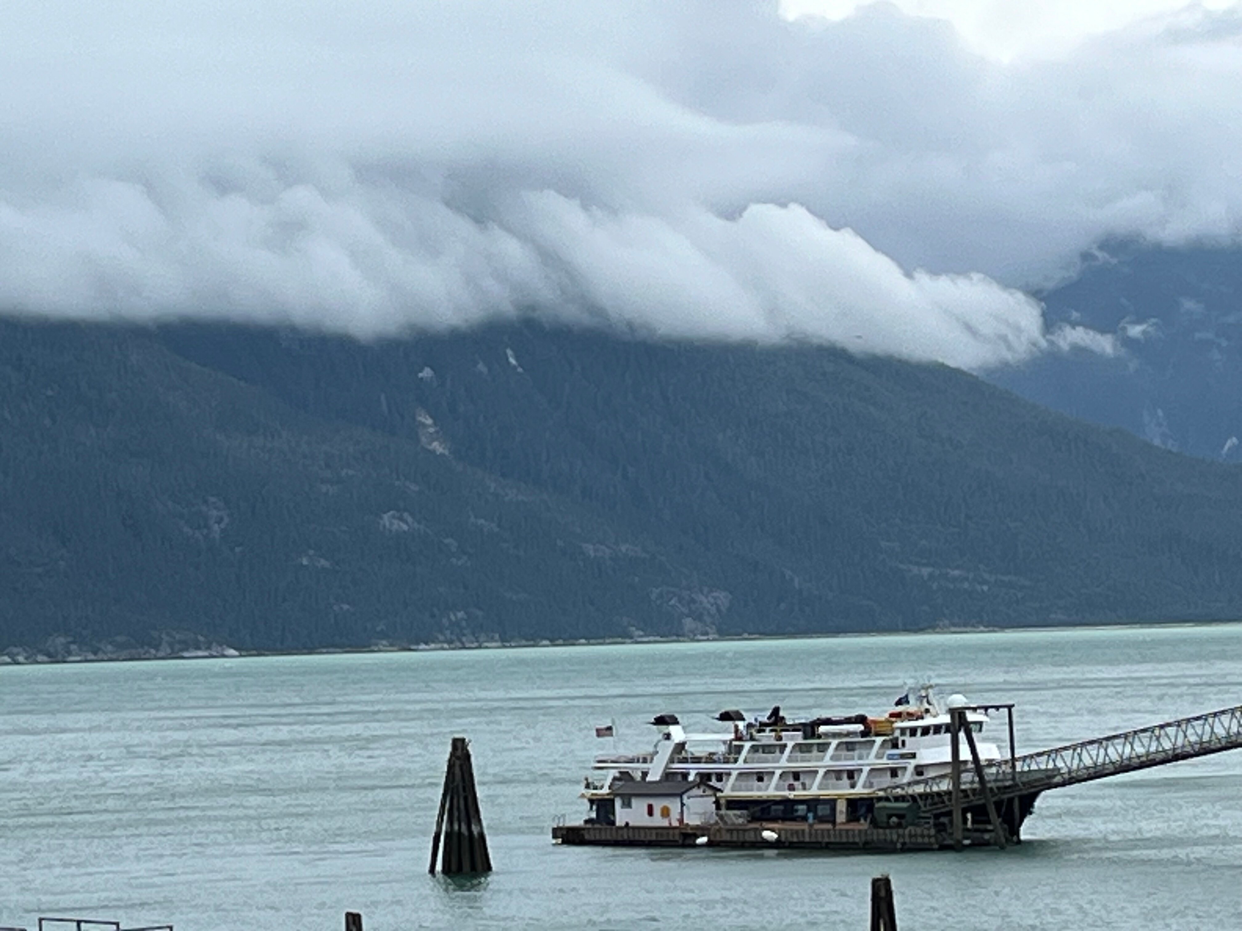 Sheltered Harbor-官方