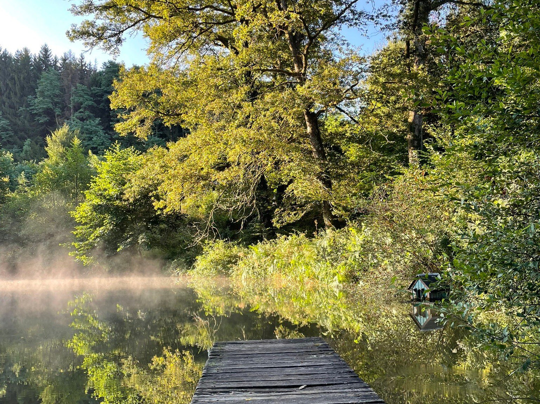 Camping Moulin De La Geneste主图