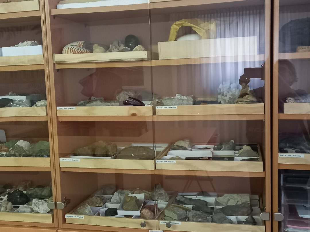 Museo Geologico della Carnia景点图片