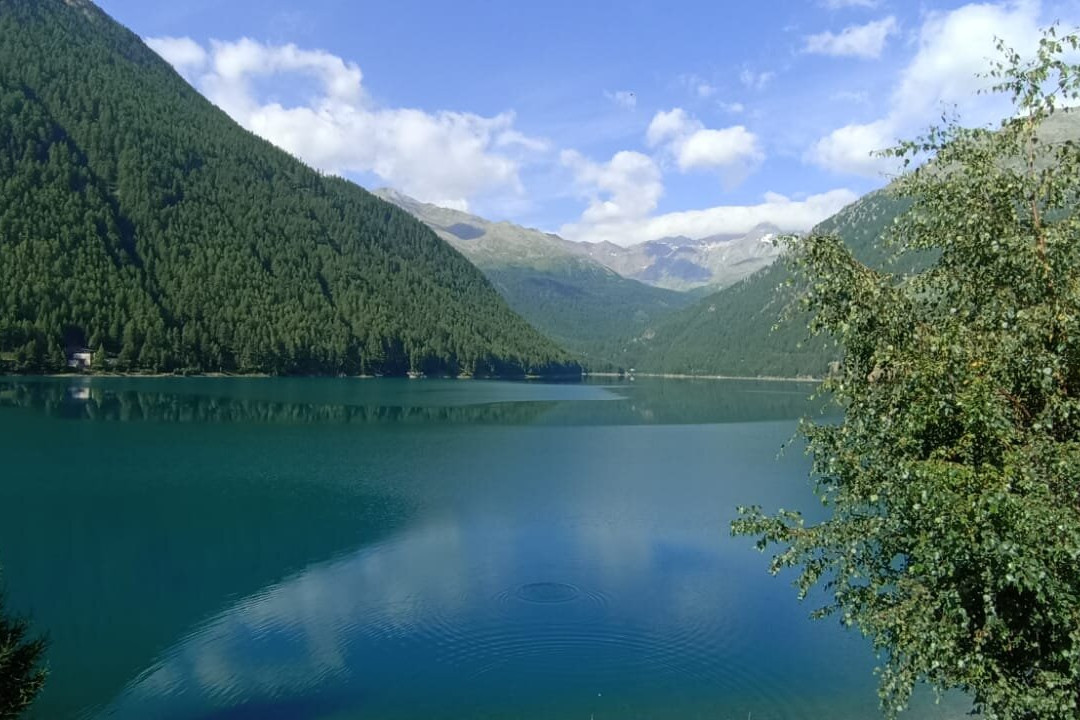 Lago di Vernago景点图片