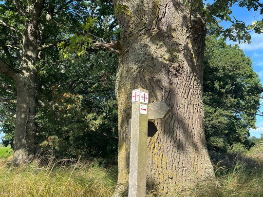 Hotell Bellevue主图