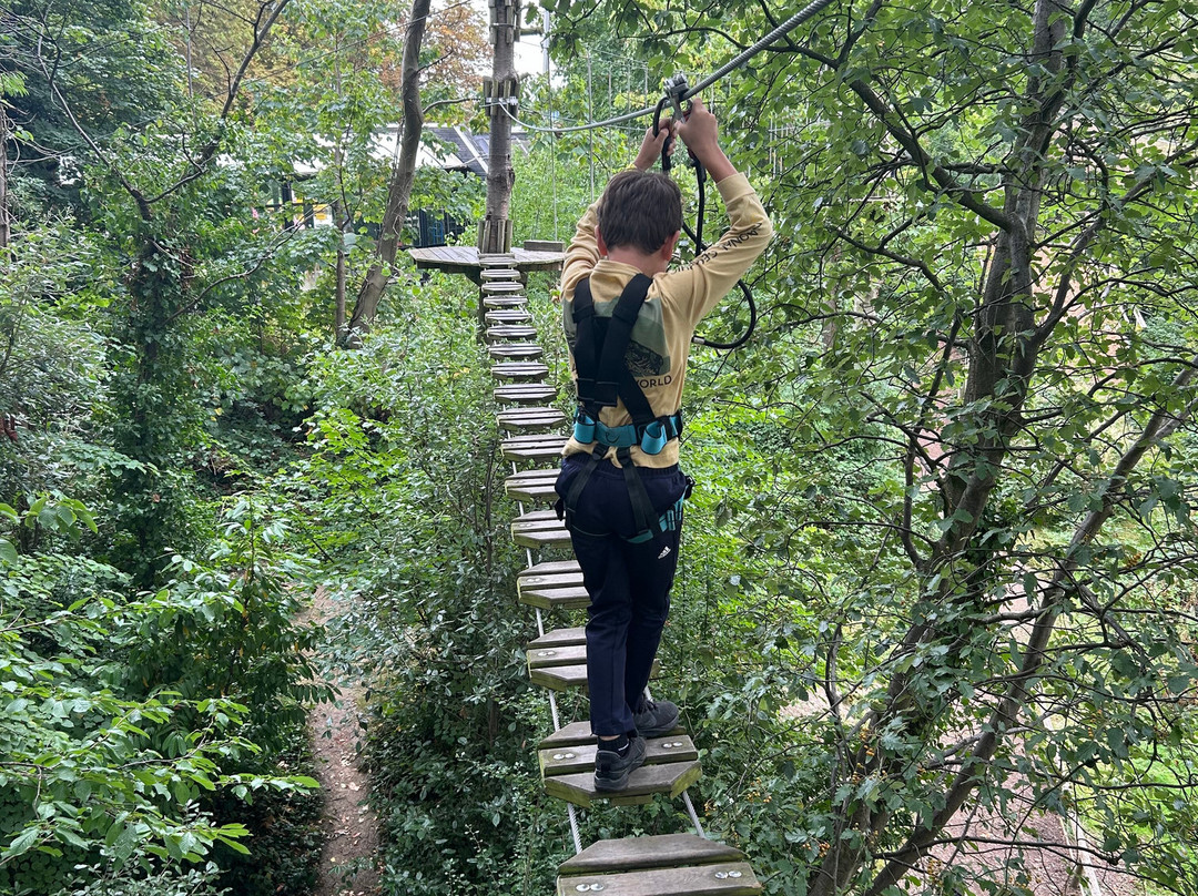 Go Ape Alexandra Palace-伦敦必去景点