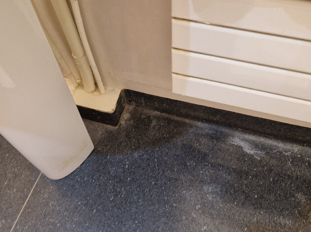 Logis Hôtel de France Rest. le Lucullus主图