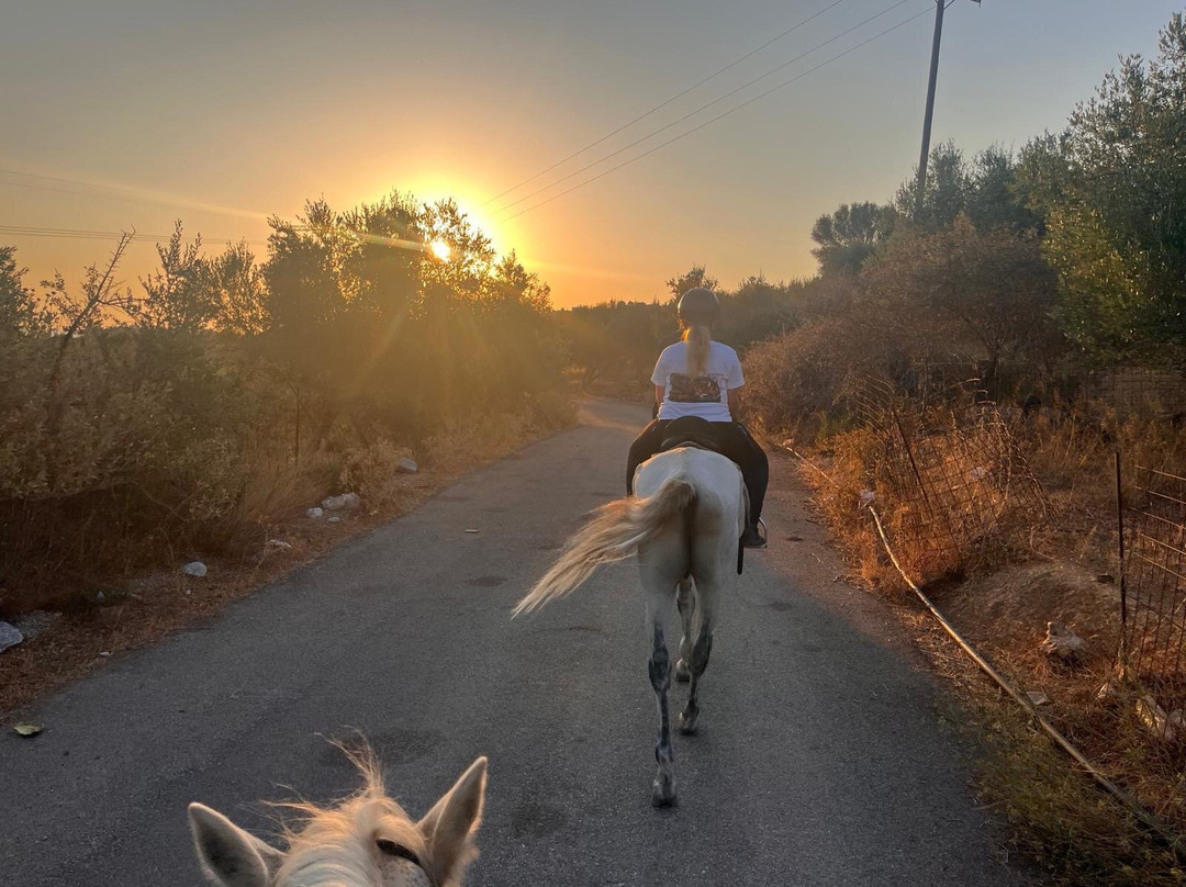 Horseriding Georgoupolis/ Grillo's Stable景点图片