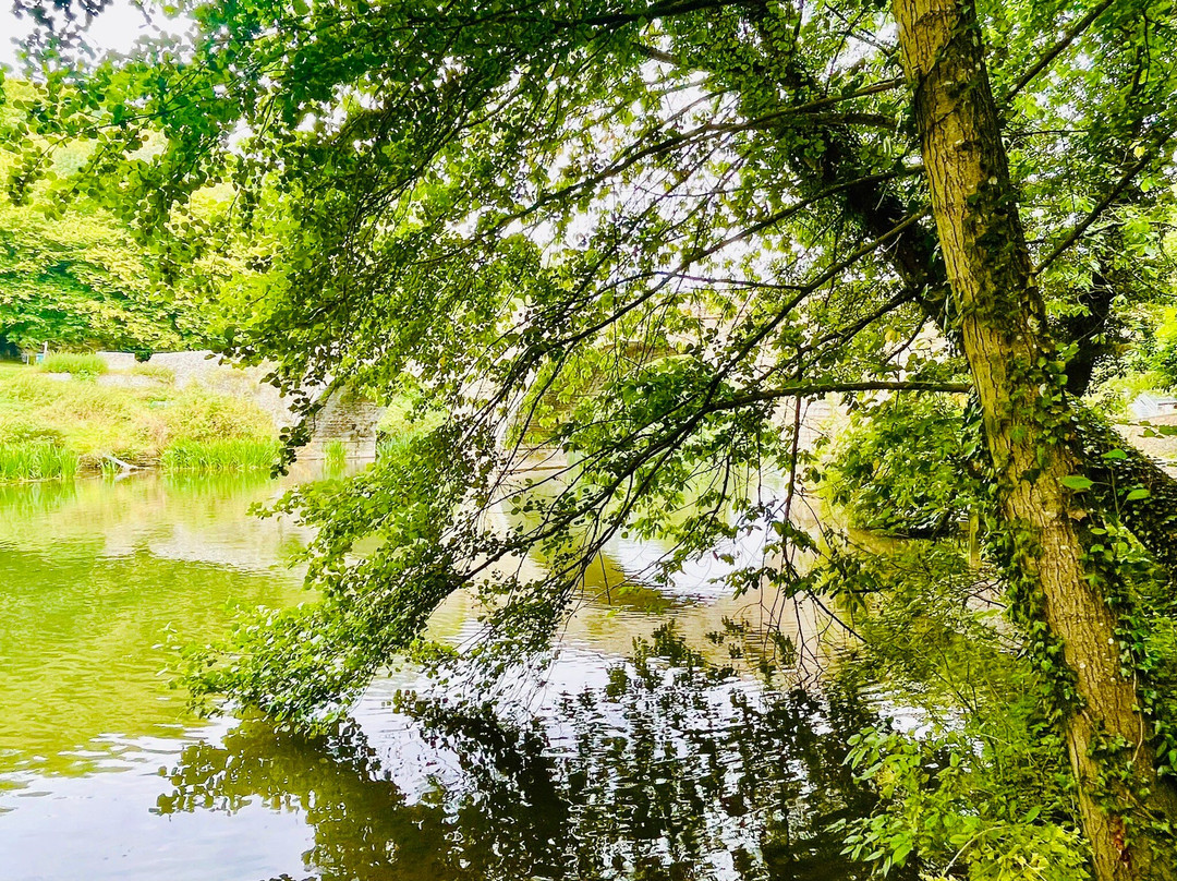 Dinham Bridge景点图片