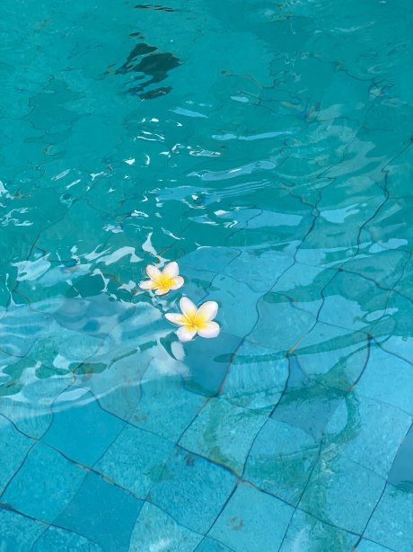 巴厘岛朵帕蒂别墅-官方