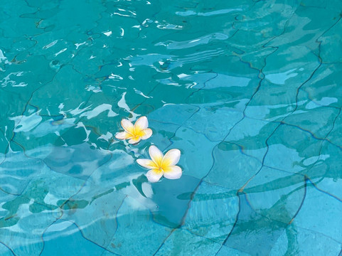 巴厘岛朵帕蒂别墅主图