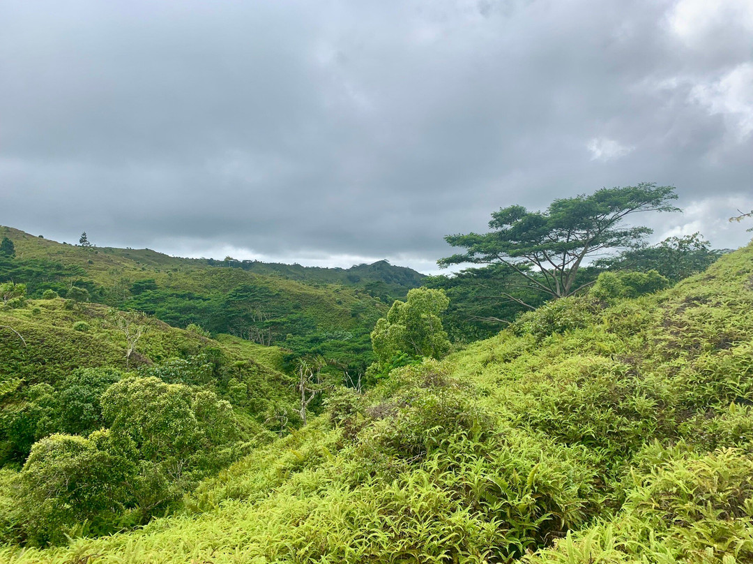 Vaimo'u Excursion-Taiohae必去景点
