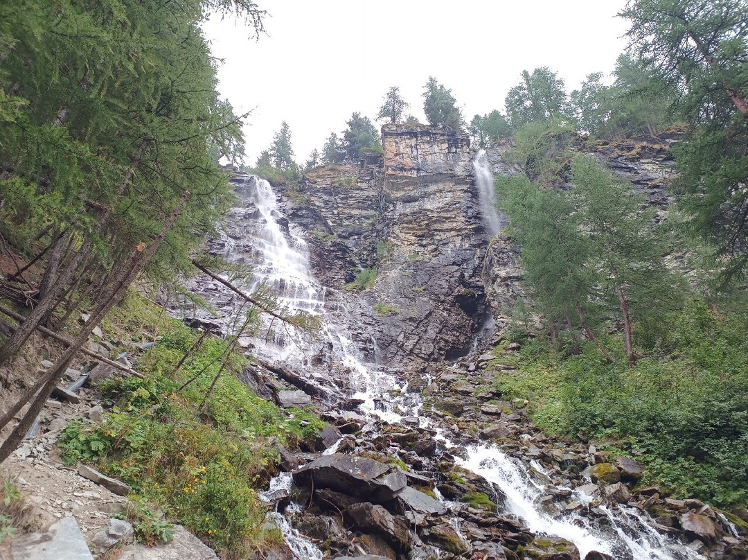 Lago Pellaud景点图片