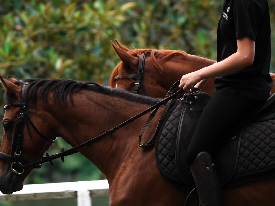 Centennial Equestrian