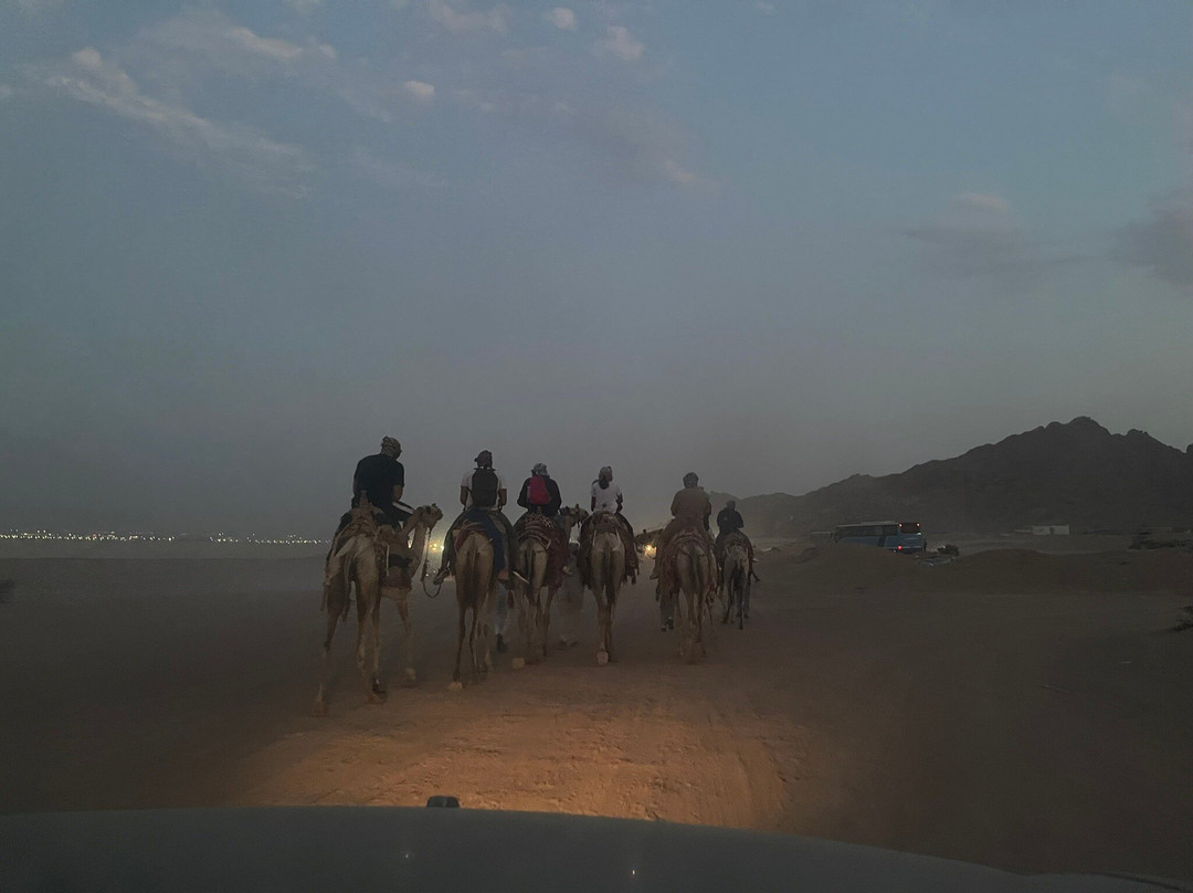 Bob Tours-沙姆沙伊赫必去景点