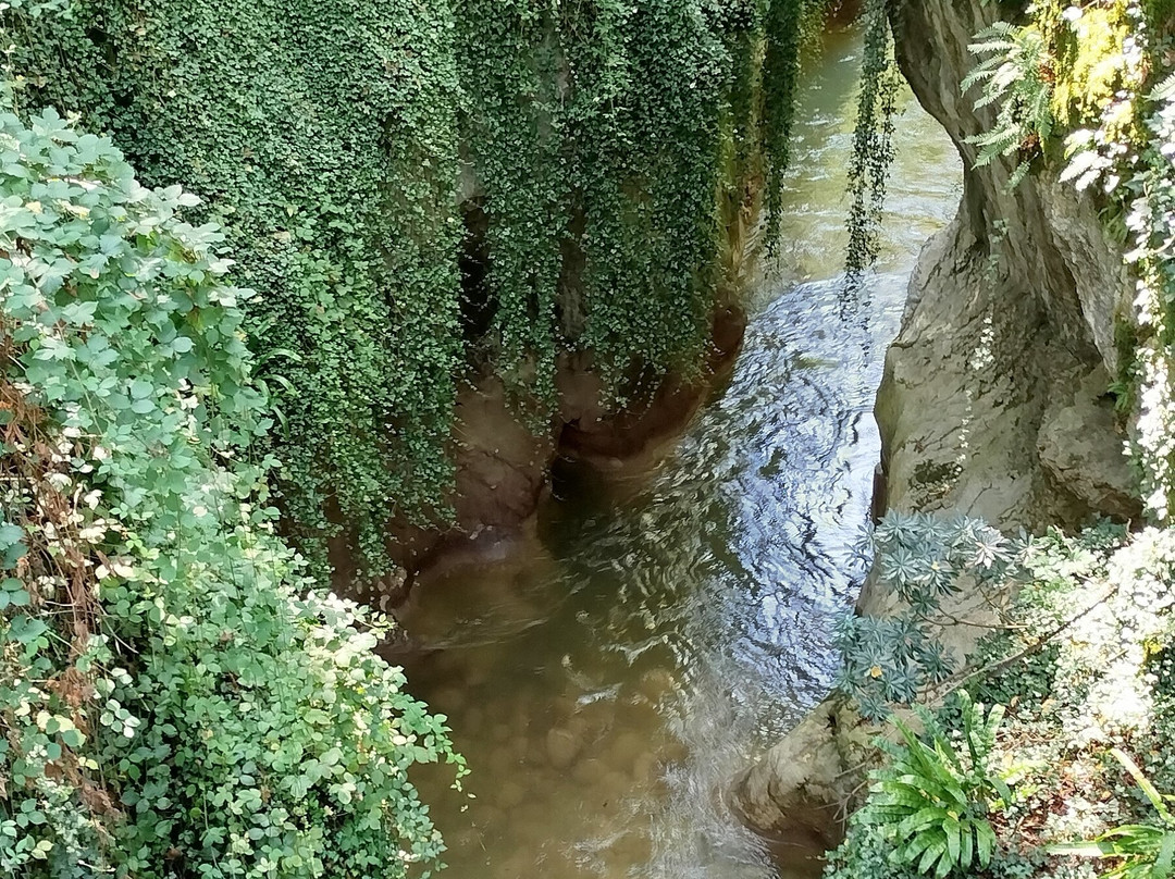Gorges Du Sierroz景点图片