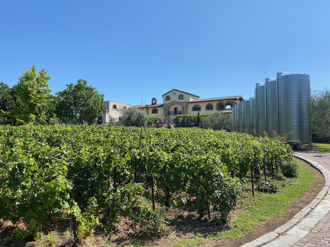Azienda Agricola Pratello景点图片