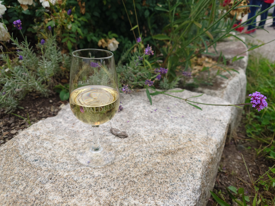 Waldhotel Grüner Baum主图