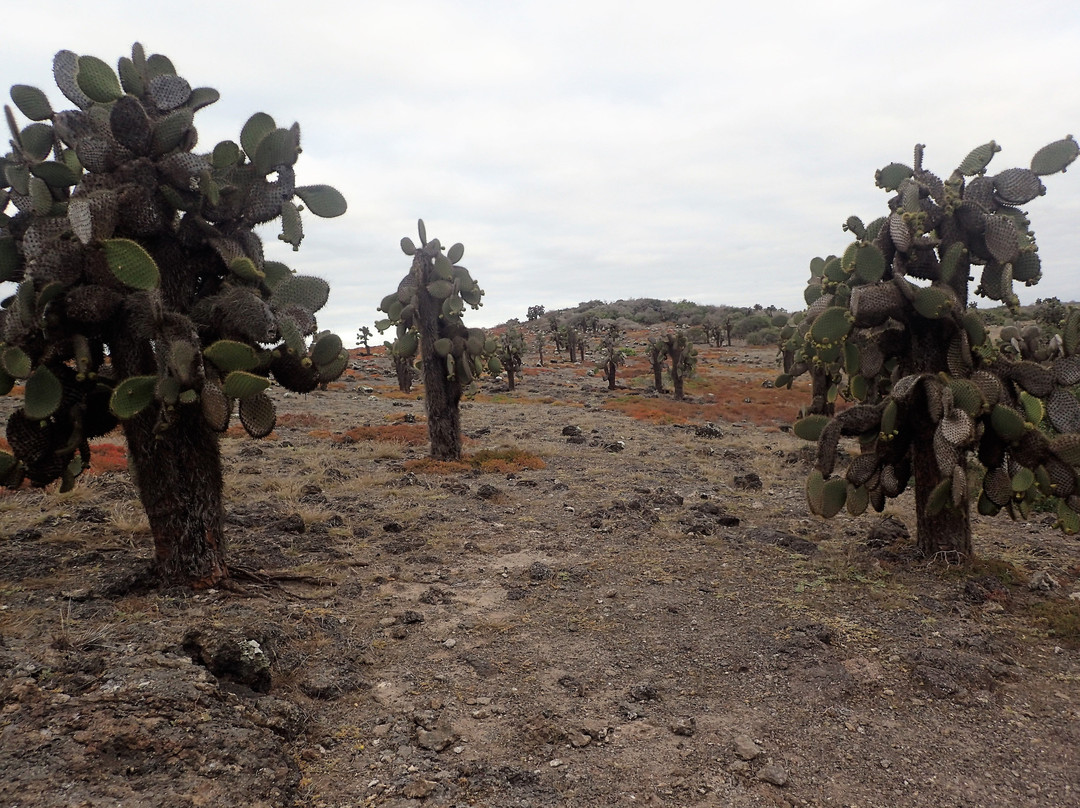 The Last Paradise-Pinzon必去景点