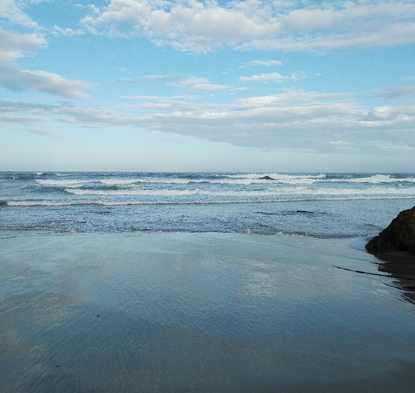 Pudding Creek Beach景点图片