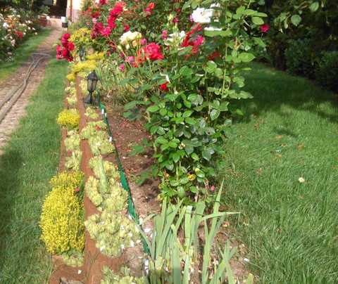 Pensiunea Lucia Ana主图